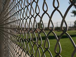 Chain Link