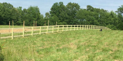 Backyard fence project